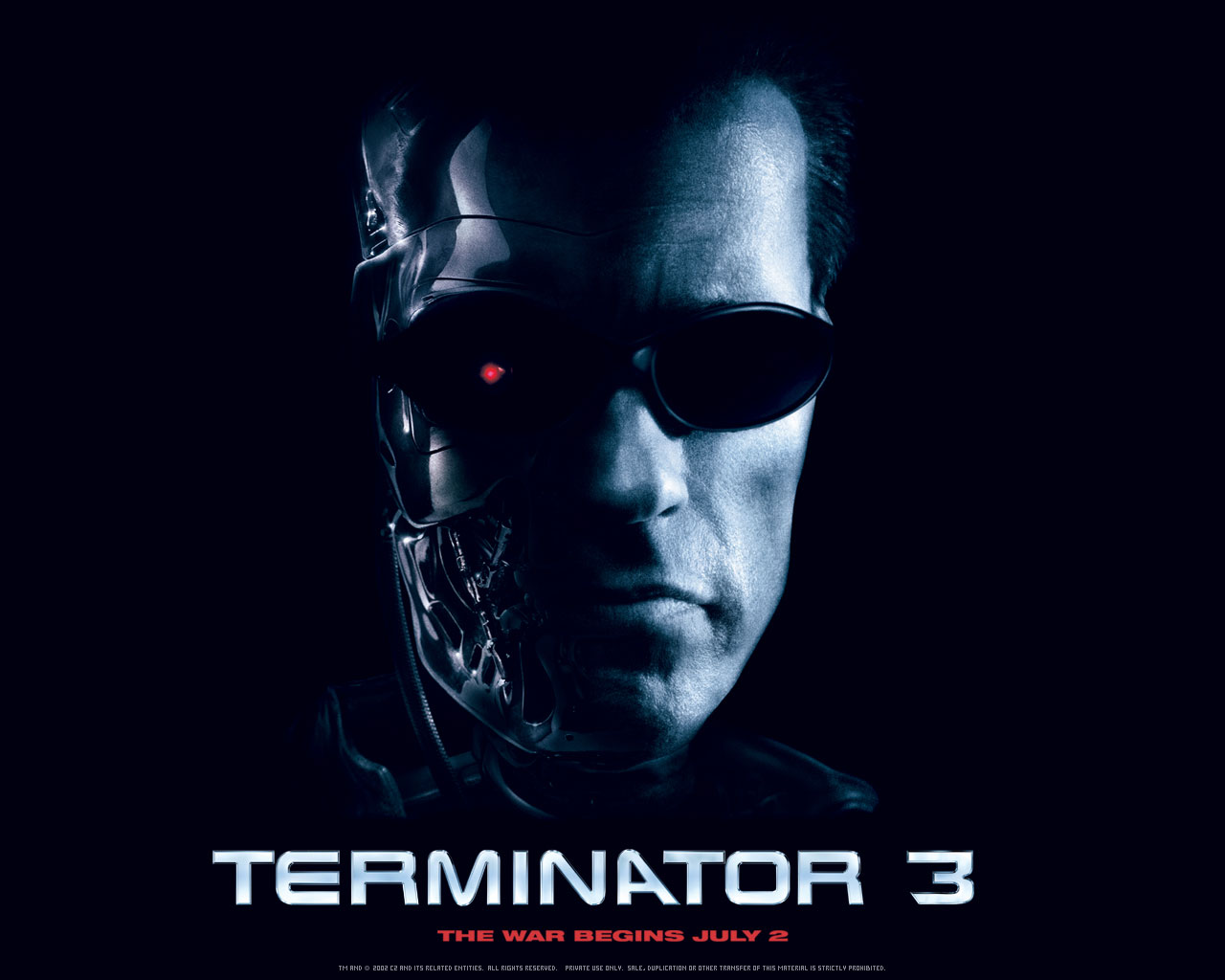 Termintor 3