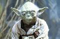 Yoda mester